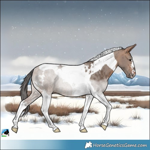 Horse Color:Bay Dun Merle Tobiano Rabicano Brindle