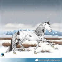 Horse Color:Smoky Black Harlequin Merle