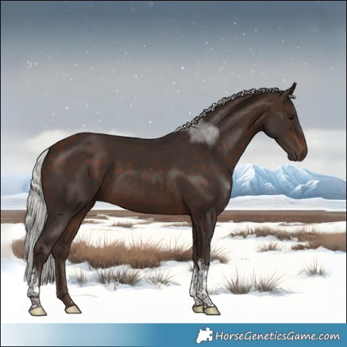 Horse Color:Silver Brown Tobiano