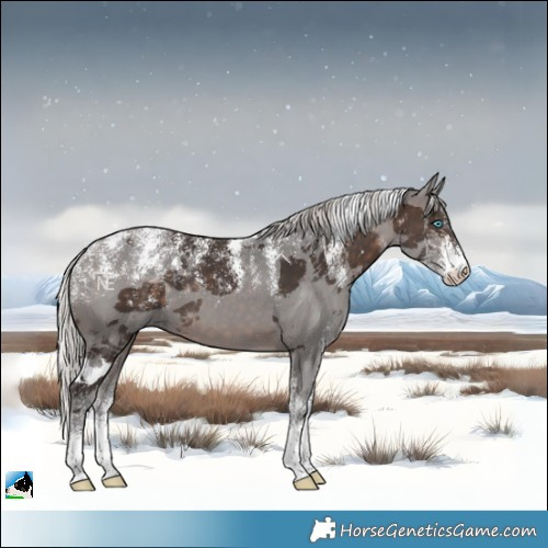 Horse Color:Powder White Silver Brown Merle 