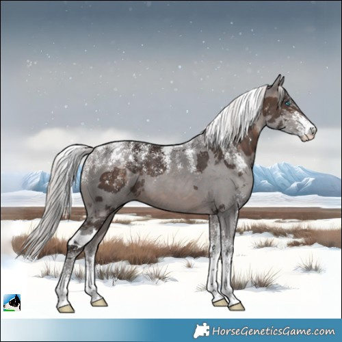 Horse Color:Powder White Silver Brown Merle