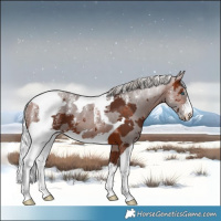 Horse Color:Powder White Silver Brown Merle 