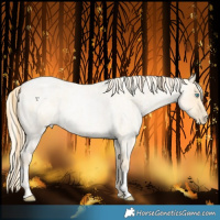 Horse Color:Buckskin Roan Pearl and Palomino Roan Pearl