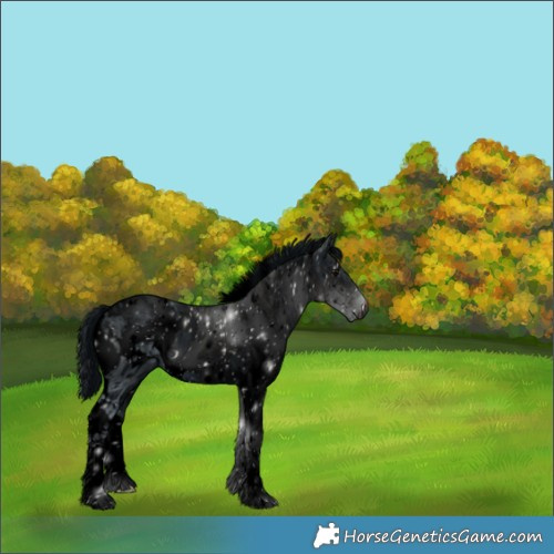 Horse Color:ERROR: UNKNOWN ANOMALY