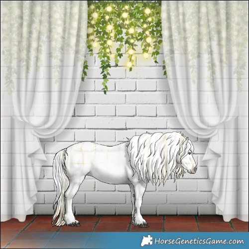 Horse Color:Plaid  White Spotted Liver Chestnut Chinchilla Ice 