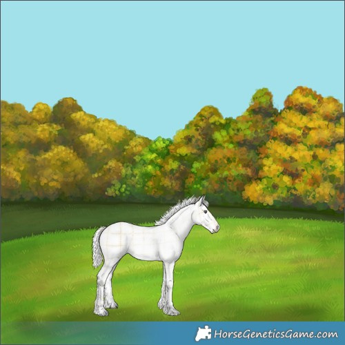 Horse Color:Plaid  White Spotted Liver Chestnut Chinchilla Ice 