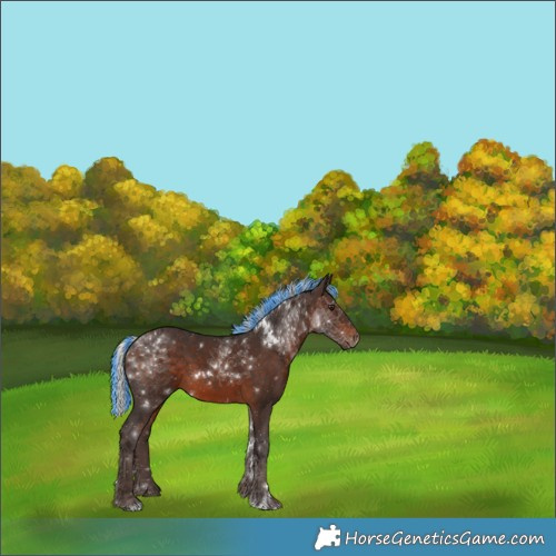 Horse Color:Painted White Spotted Silver Brown 