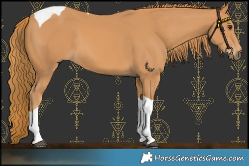 Horse Color:Chestnut Tobiano 