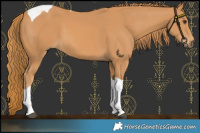 Horse Color:Chestnut Tobiano 