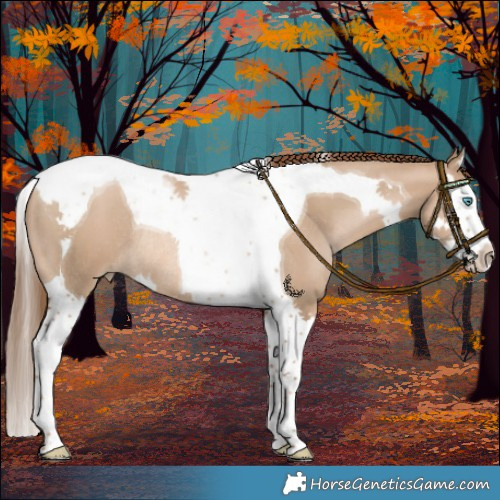 Horse Color:Liver Red Dun Pearl Splash Tobiano Rabicano