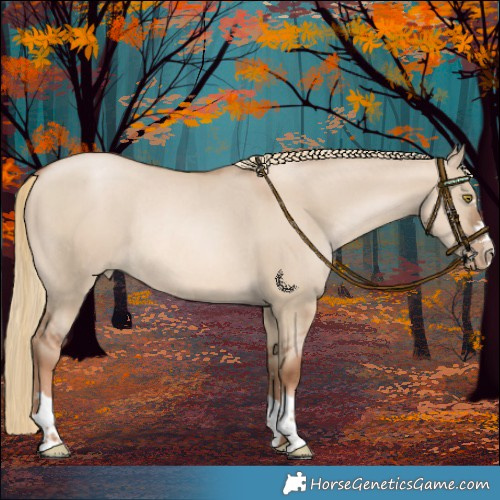 Horse Color:Liver Red Dun Pearl Rabicano 