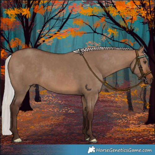 Horse Color:Silver Brown Dun 