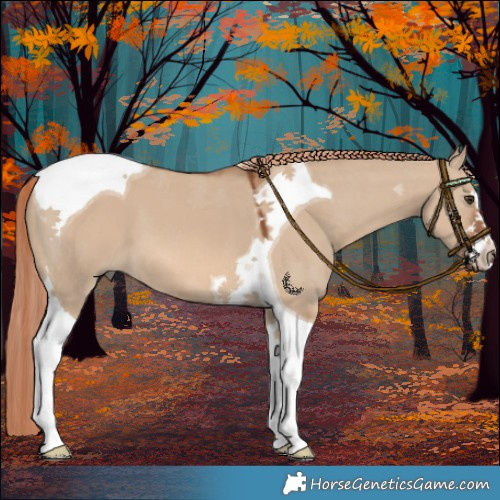 Horse Color:Red Dun Tobiano 