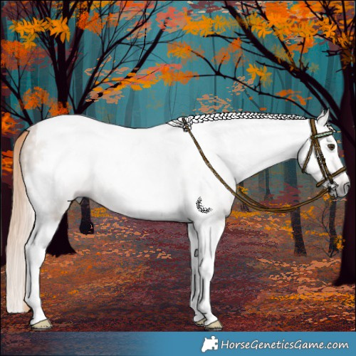 Horse Color:Gray Red Dun Tobiano 