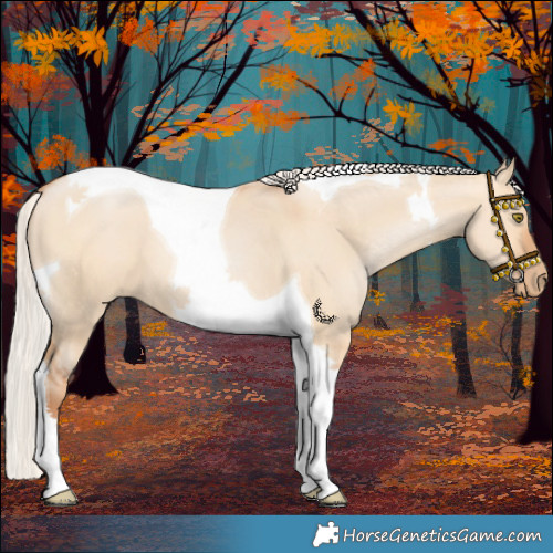 Horse Color:Silver Bay Pearl Dun Tobiano 