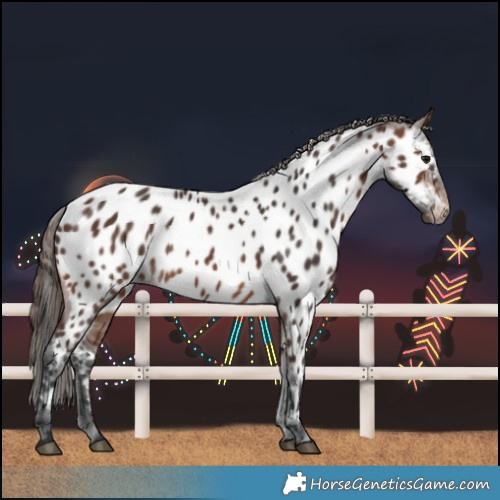 Horse Color:Brown Near Leopard