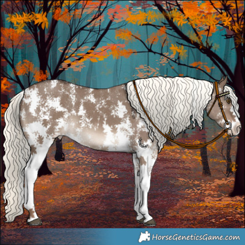Horse Color:Liver Red Dun Mushroom Sabino 