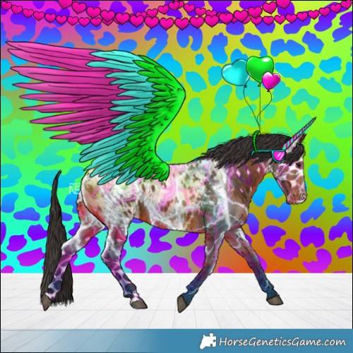 Horse Color:Bay Blanket 