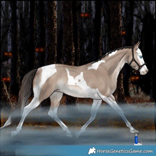 Horse Color:Sable Champagne Dun Splash Tobiano Rabicano 