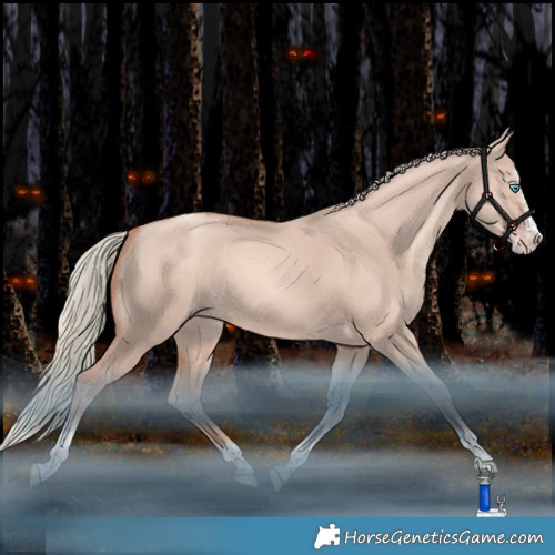 Horse Color:Gold Champagne Dun Mushroom Splash Tobiano 