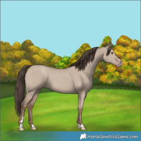 Horse Color:Classic Champagne Dun 