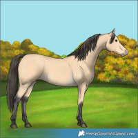 Horse Color:Unknown 