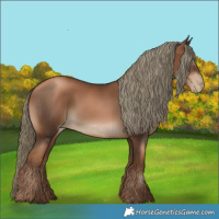 Horse Color:Gray Liver Chestnut Pearl Mushroom