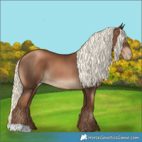 Horse Color:Gray Liver Chestnut Pearl Mushroom
