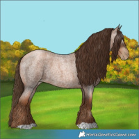Horse Color:Gray Liver Red Roan Pearl