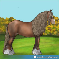 Horse Color:Gray Liver Chestnut Pearl Mushroom 