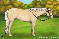 Horse Color:Silver Amber Cream Champagne Splash Rabicano 