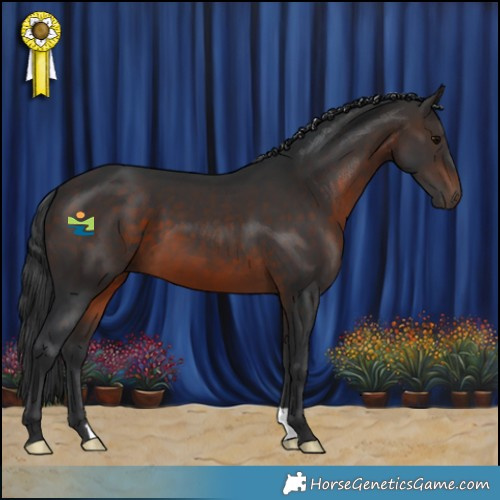 Horse Color:Brown 