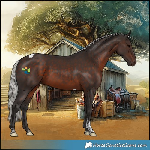 Horse Color:Silver Brown Tobiano 