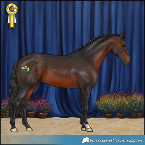 Horse Color:Brown 