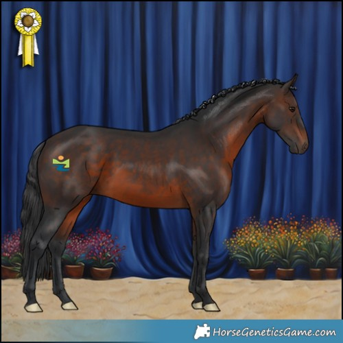 Horse Color:Brown 