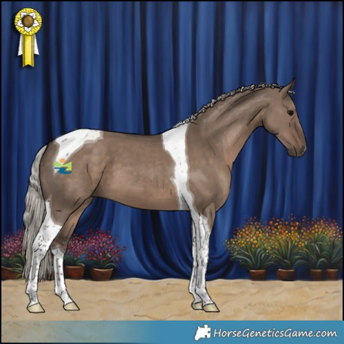 Horse Color:Silver Grullo Tobiano 