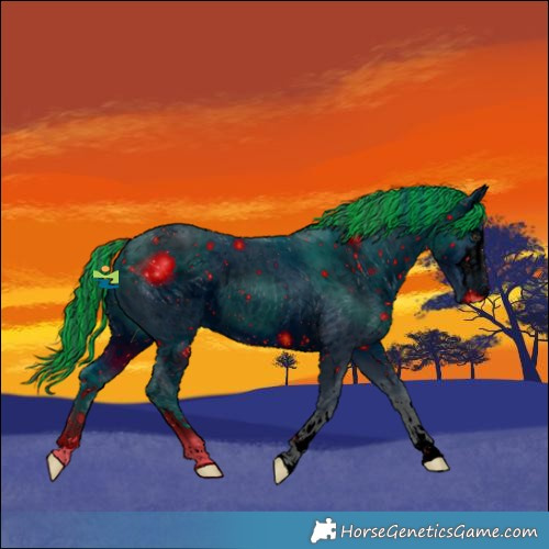 Horse Color:ERROR: UNKNOWN ANOMALY