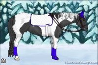 Horse Color:Smoky Black Tobiano 