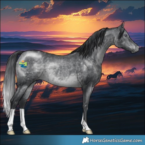 Horse Color:Brown Chinchilla 