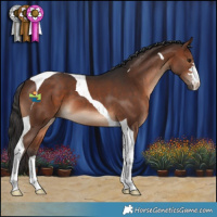 Horse Color:Brown Tobiano 
