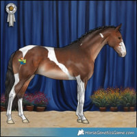 Horse Color:Brown Tobiano 