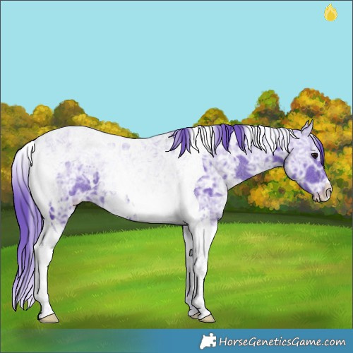 Horse Color:Watercolor White Spotted Smoky Black Ice Tobiano 