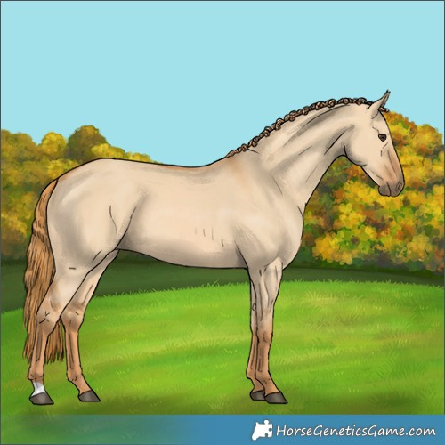 Horse Color:Red Dun 