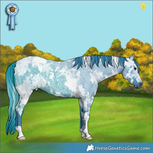 Horse Color:Watercolor White Spotted Smoky Blue Ice Roan 
