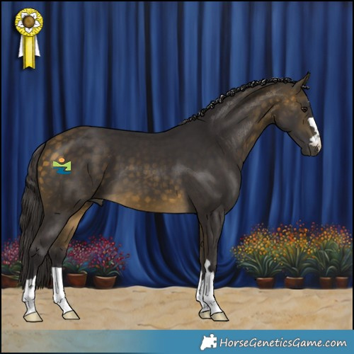 Horse Color:Buckskin 