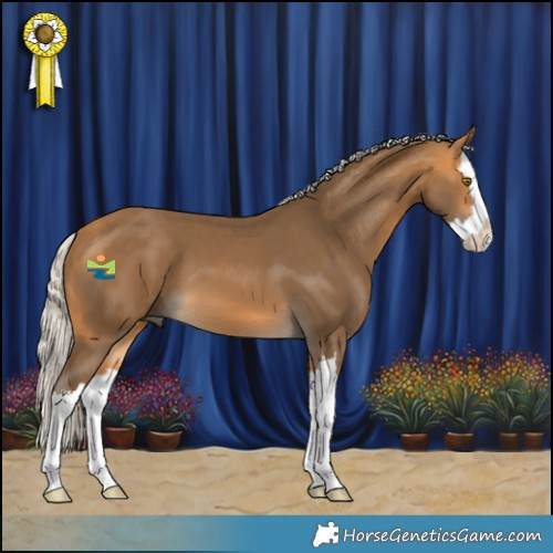 Horse Color:Silver Buckskin Splash 