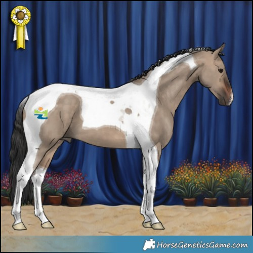 Horse Color:Brown Dun Tobiano 