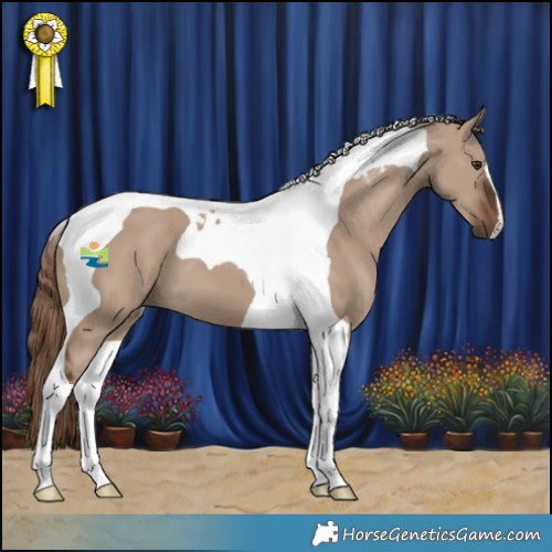Horse Color:Liver Red Dun Tobiano 