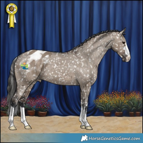 Horse Color:Brown Dun Appaloosa
