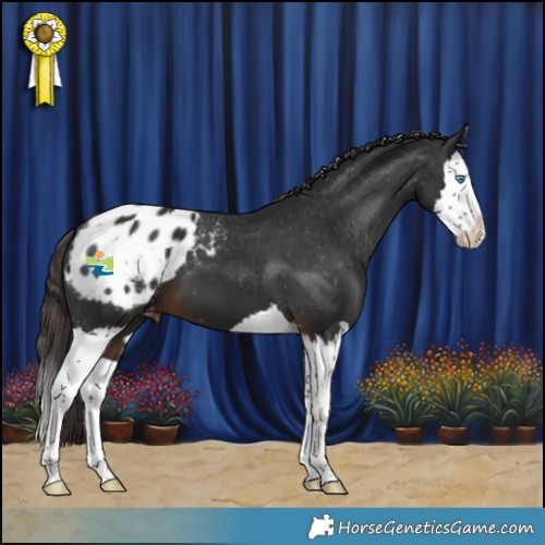 Horse Color:Liver Chestnut Splash Varnish 